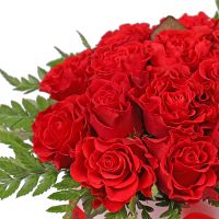 Red roses in a box