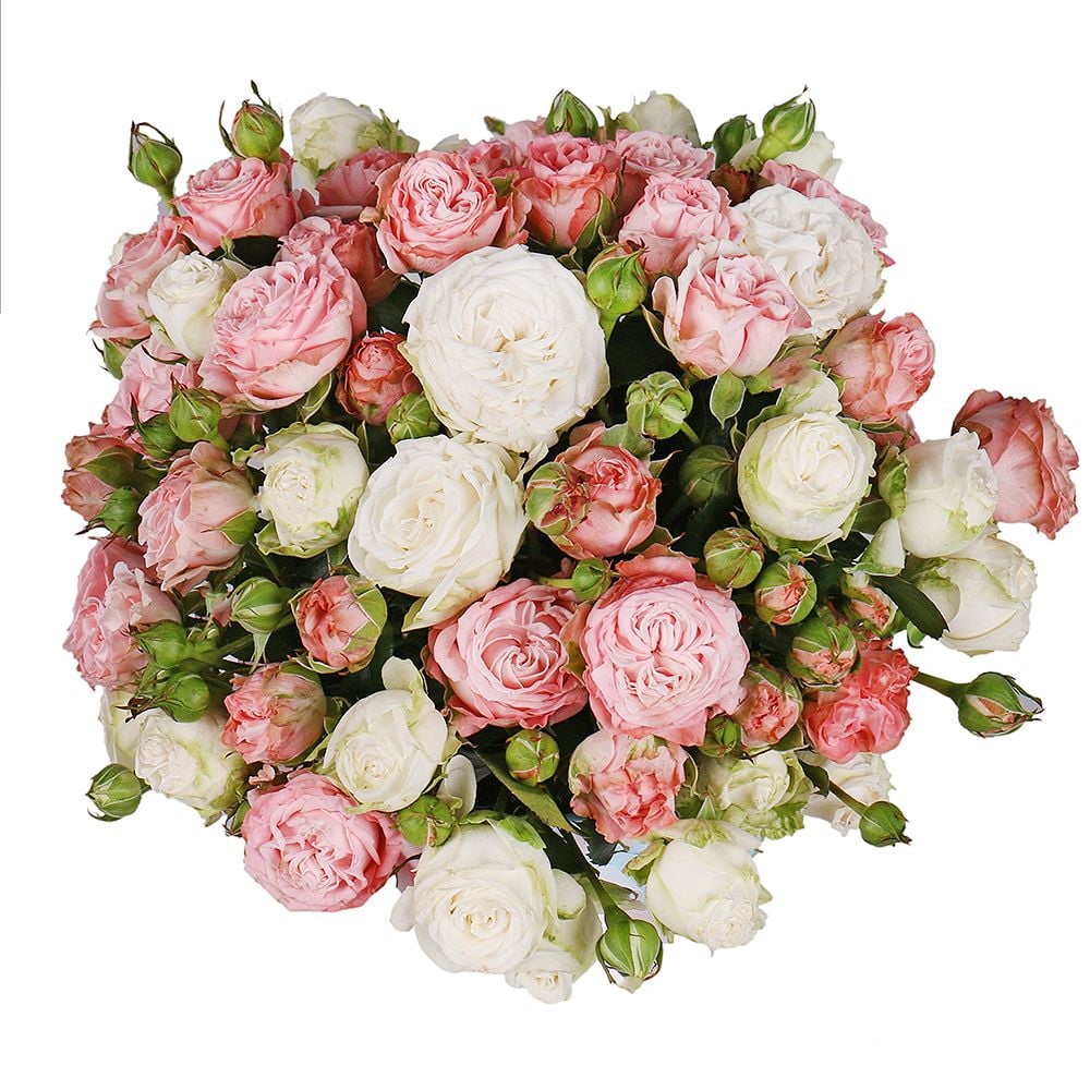 Spray roses in a box 142 $