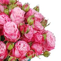 Pink spray roses in a box Wieringerwerf