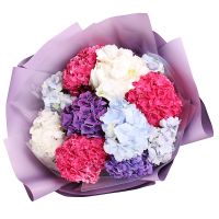 Bouquet of 11 hydrangeas
