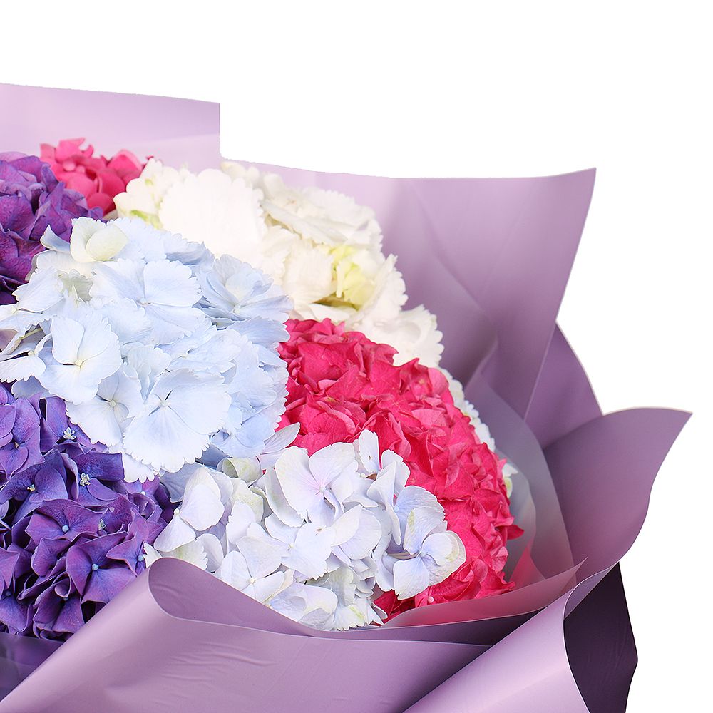 Bouquet of 11 hydrangeas