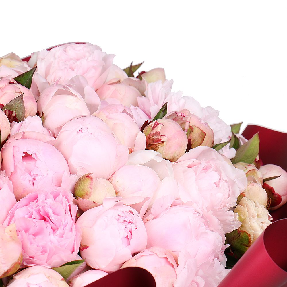  Bouquet 101 peonies
													