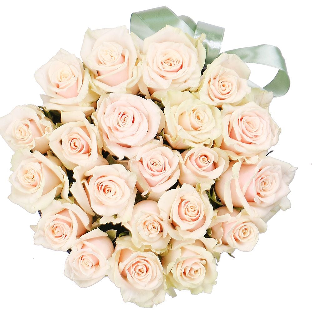 Cream roses in a box