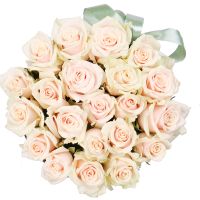 Cream roses in a box Krasilov