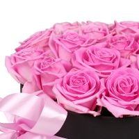 Букет Рожеві троянди в коробці 23 шт