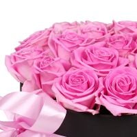 Pink roses in a box