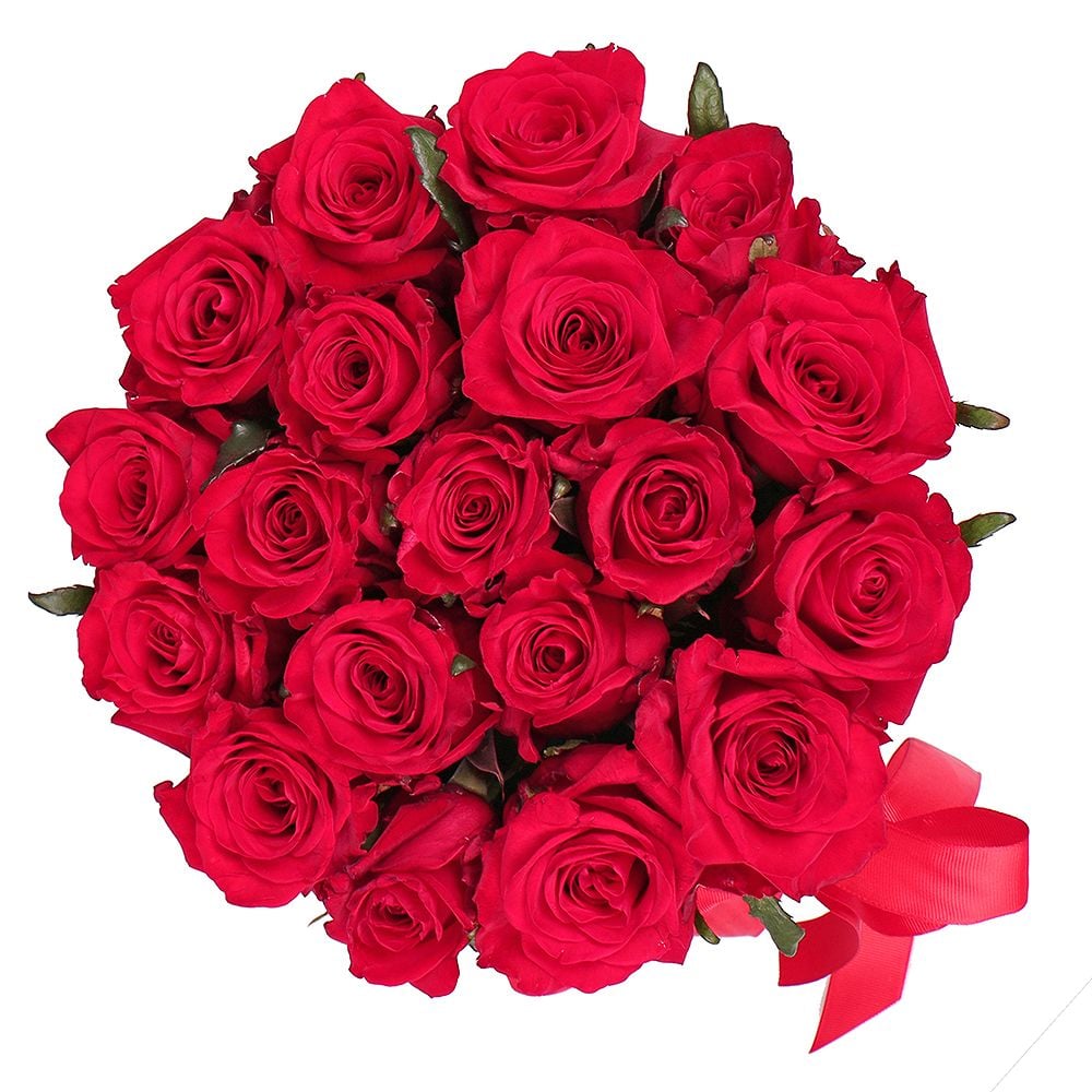 23 Red roses in a box