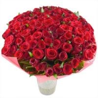 101 red roses 60 cm