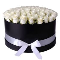 101 white roses in a box Pernio