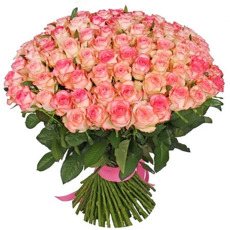 101 бело-розовая роза Шымкент