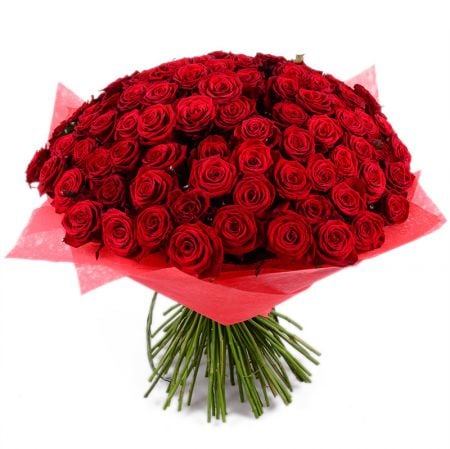 101 red rose Kiev
