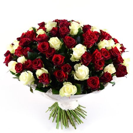 101 красно-белая роза Хинтербрюль