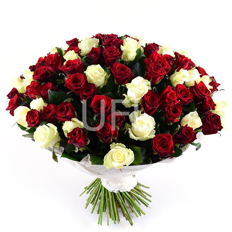 101 красно-белая роза Сент-Этьен