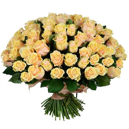 101 кремовая роза Виктория (Австралия)