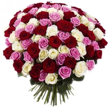 101 разноцветная роза  Светлодарск