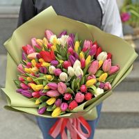 101 разноцветных тюльпанов