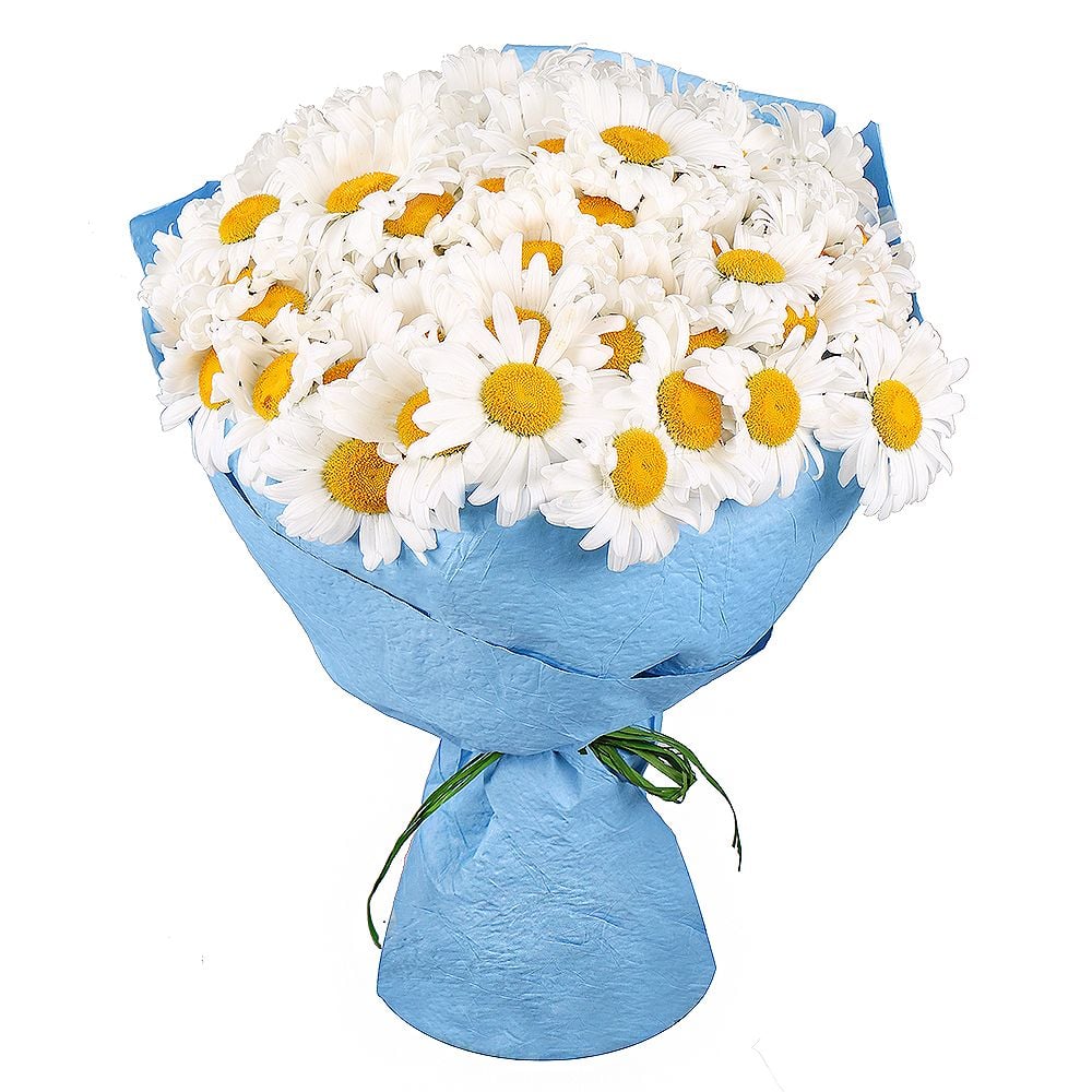  Bouquet 101 daisies
													