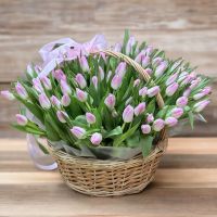 101 tulips in a basket