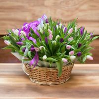  101 tulips mixed in basket Samos Island