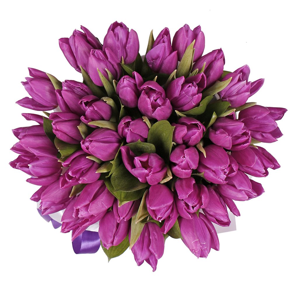 Purple tulips in a box