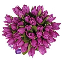 Фіолетові тюльпани в коробці Бухара