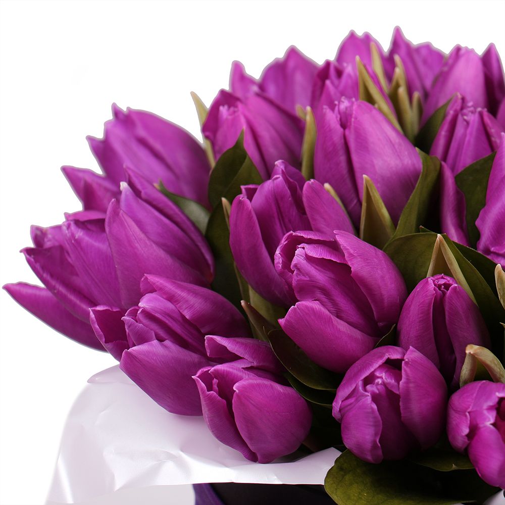 Фиолетовые тюльпаны в коробке  Фиолетовые тюльпаны в коробке 