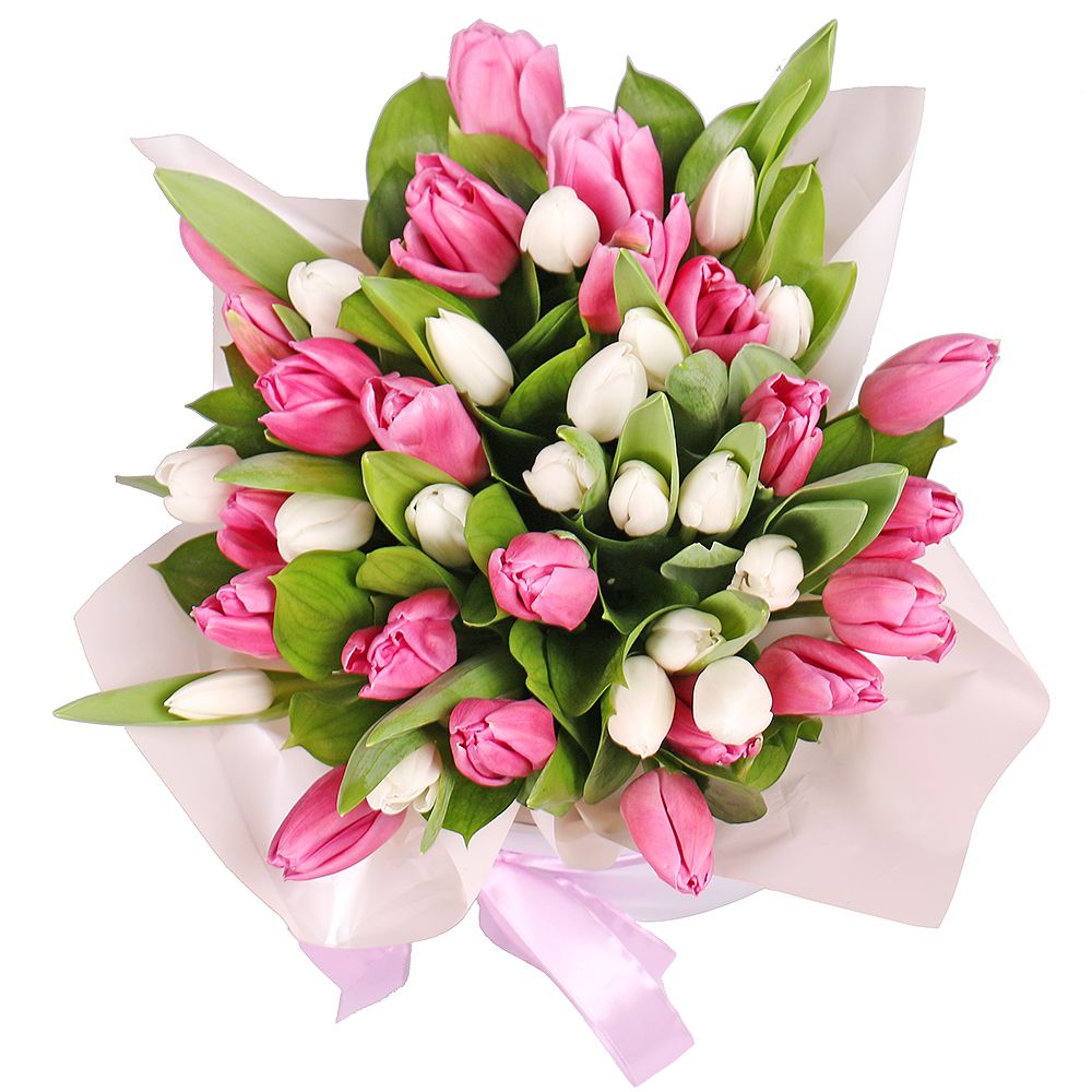 Pink and white tulips in a box