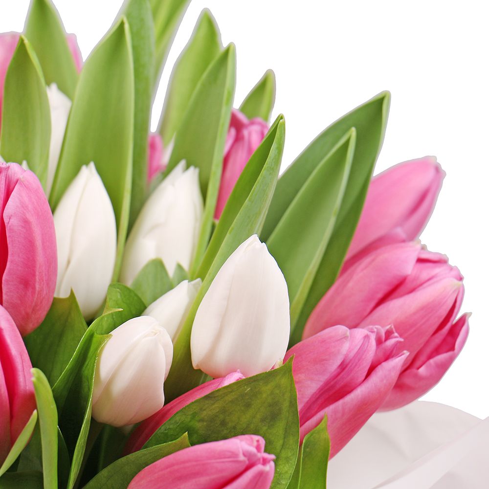 Pink and white tulips in a box