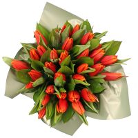 Box with tulips Ust-Kamenogorsk