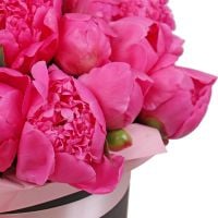 Peony in a box Shymkent