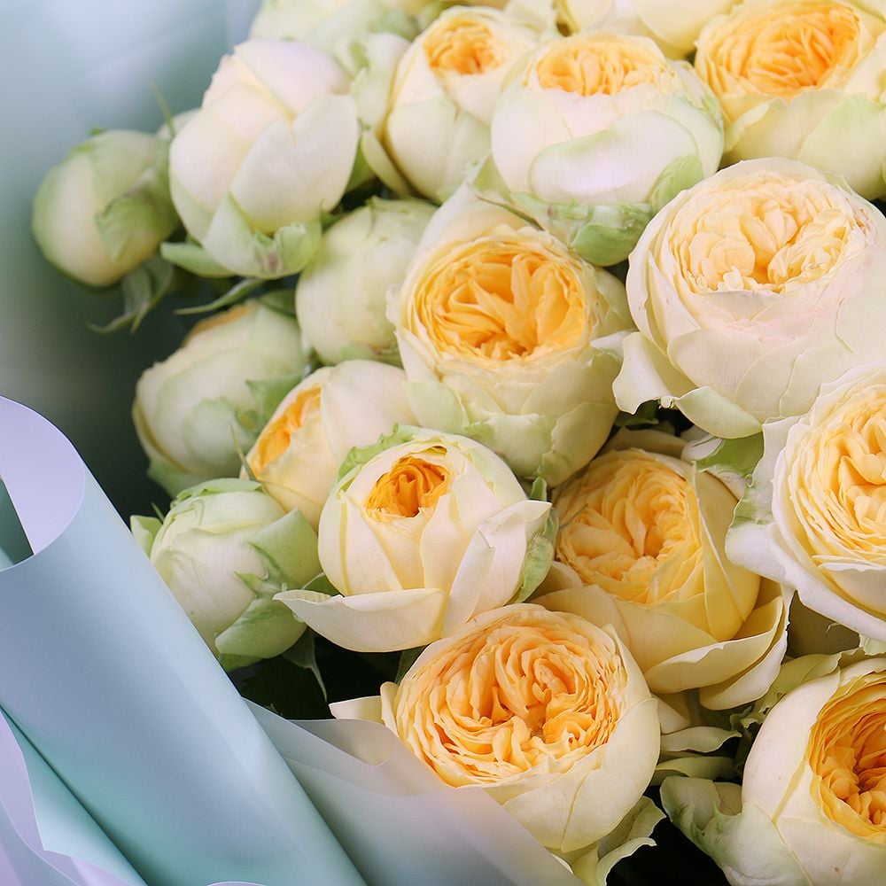 Bouquet of peony roses