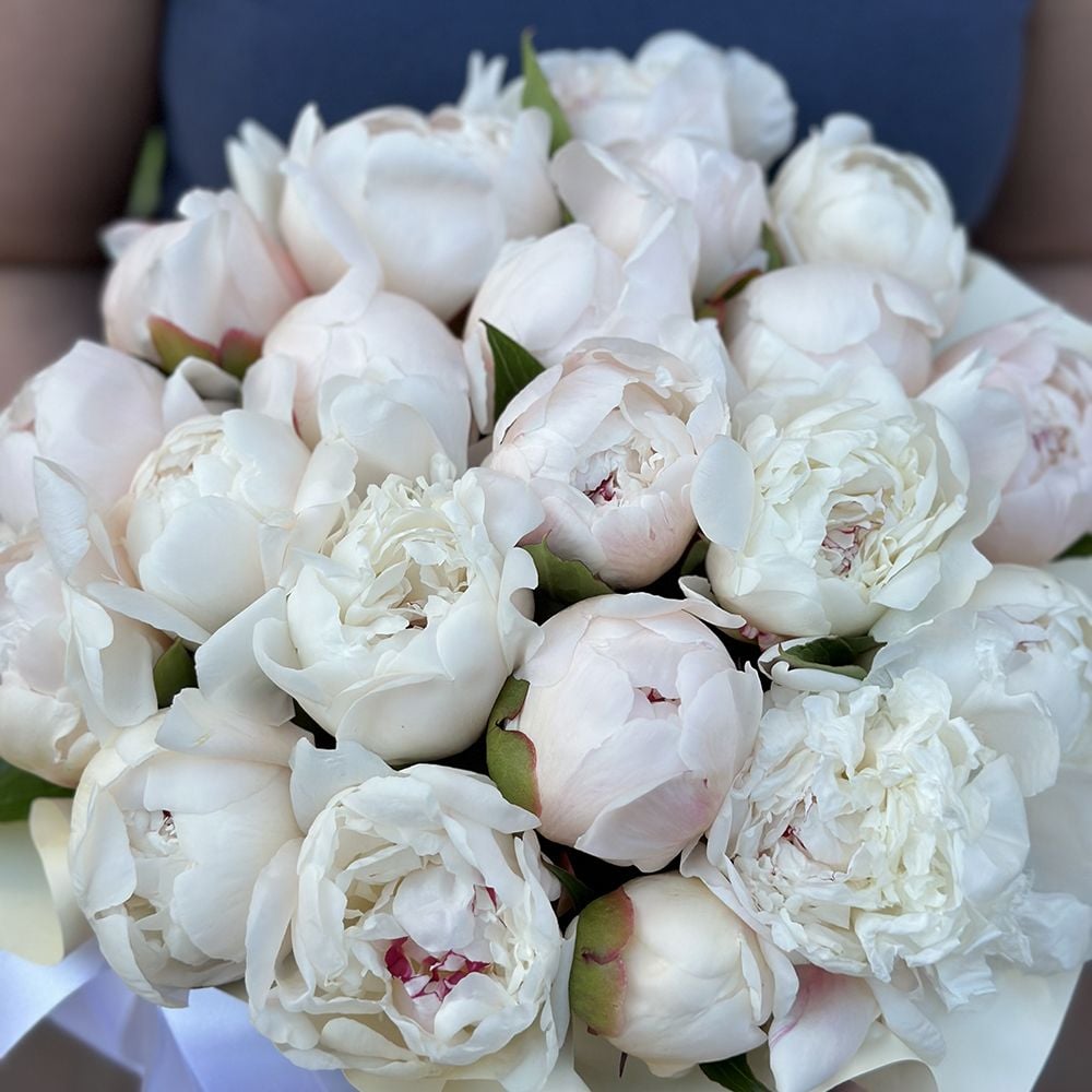 White peonies in box