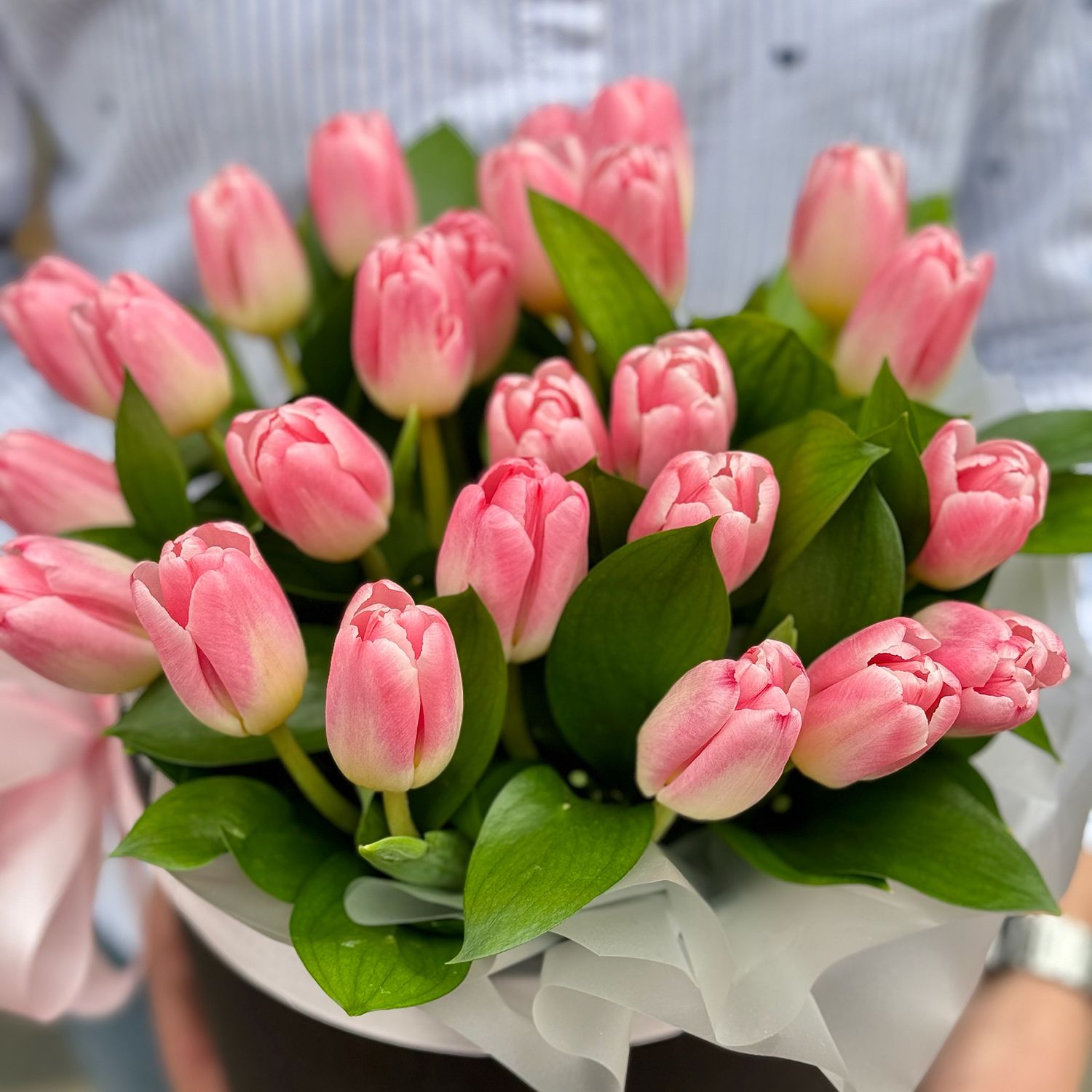 25 pink tulips in a box