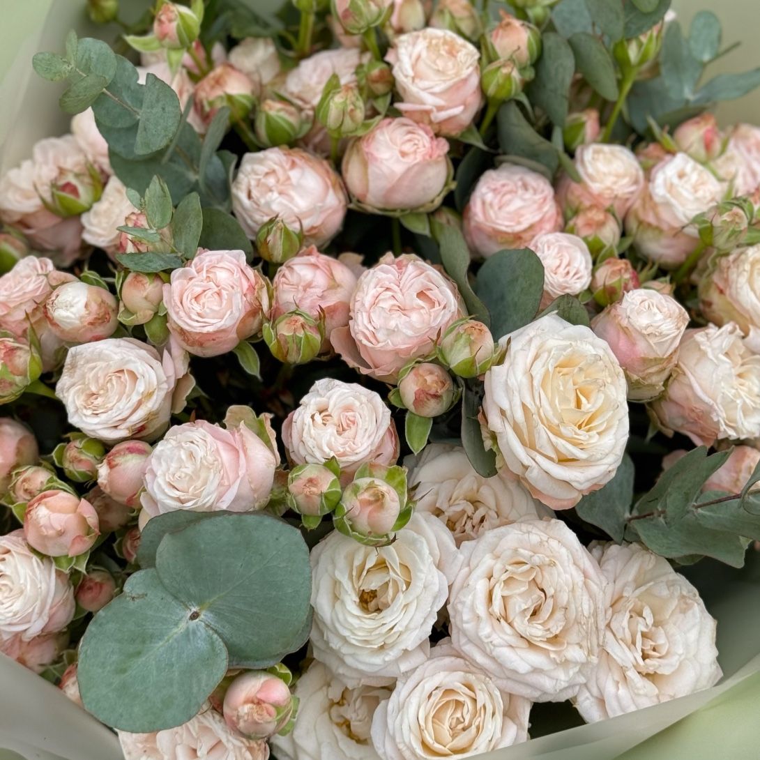 Bouquet of creamy spray roses 123 $