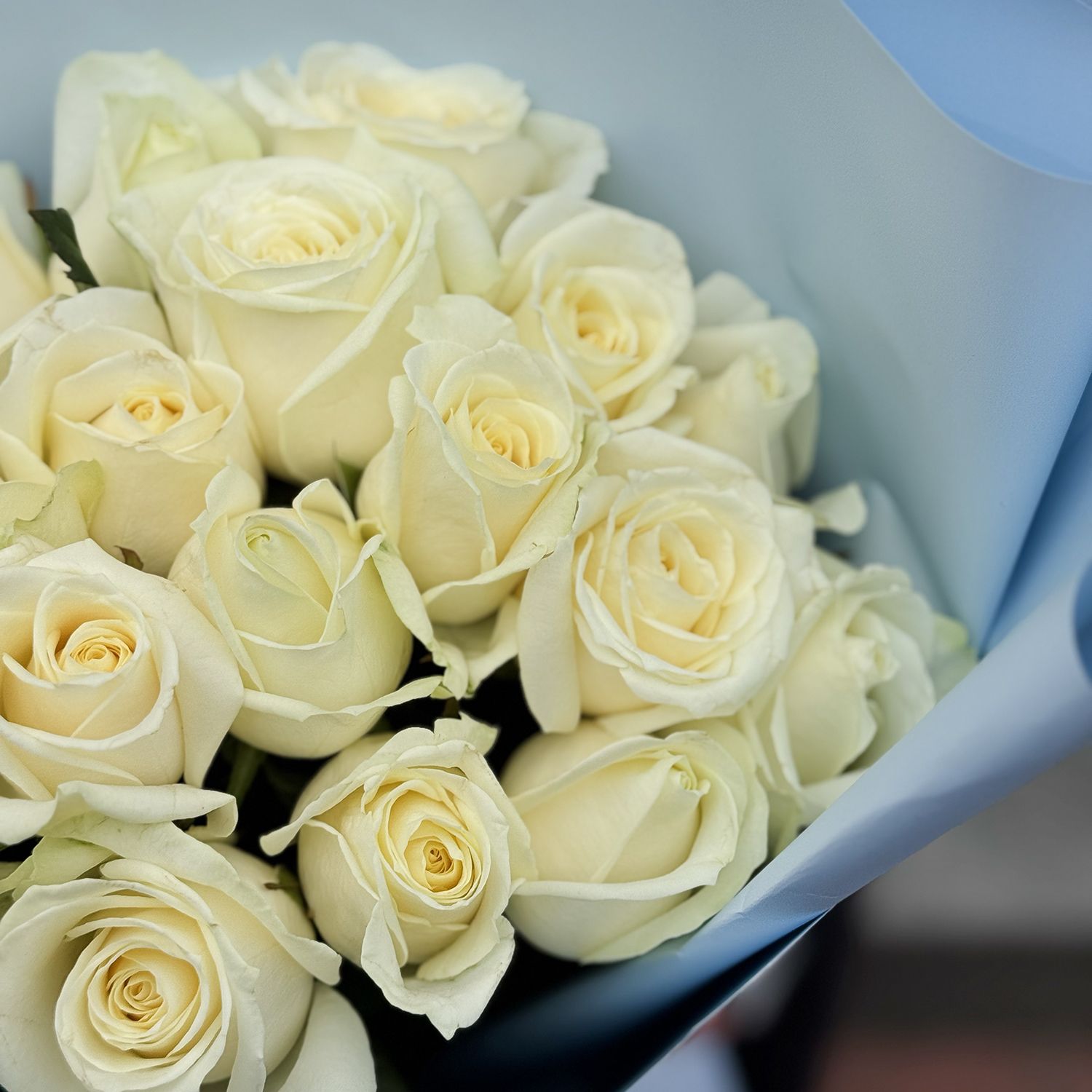 Bouquet 21 white roses 211 €