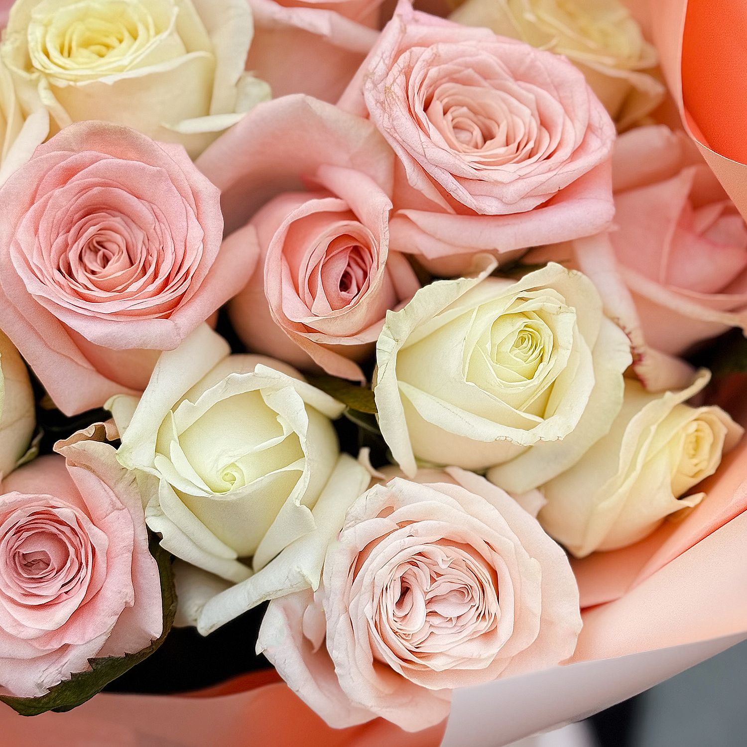 21 white and cream roses 9391 грн