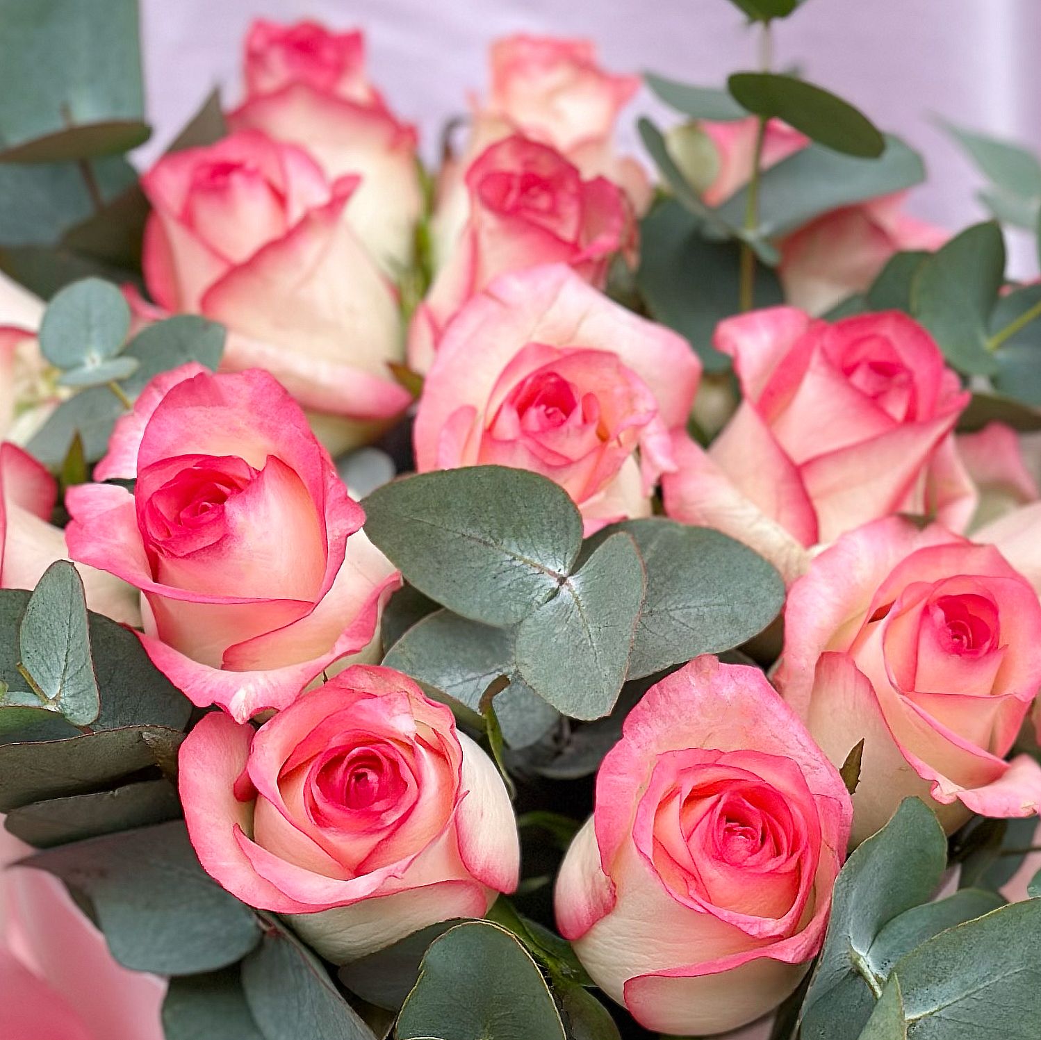 Roses in a box Jumilia 89 $