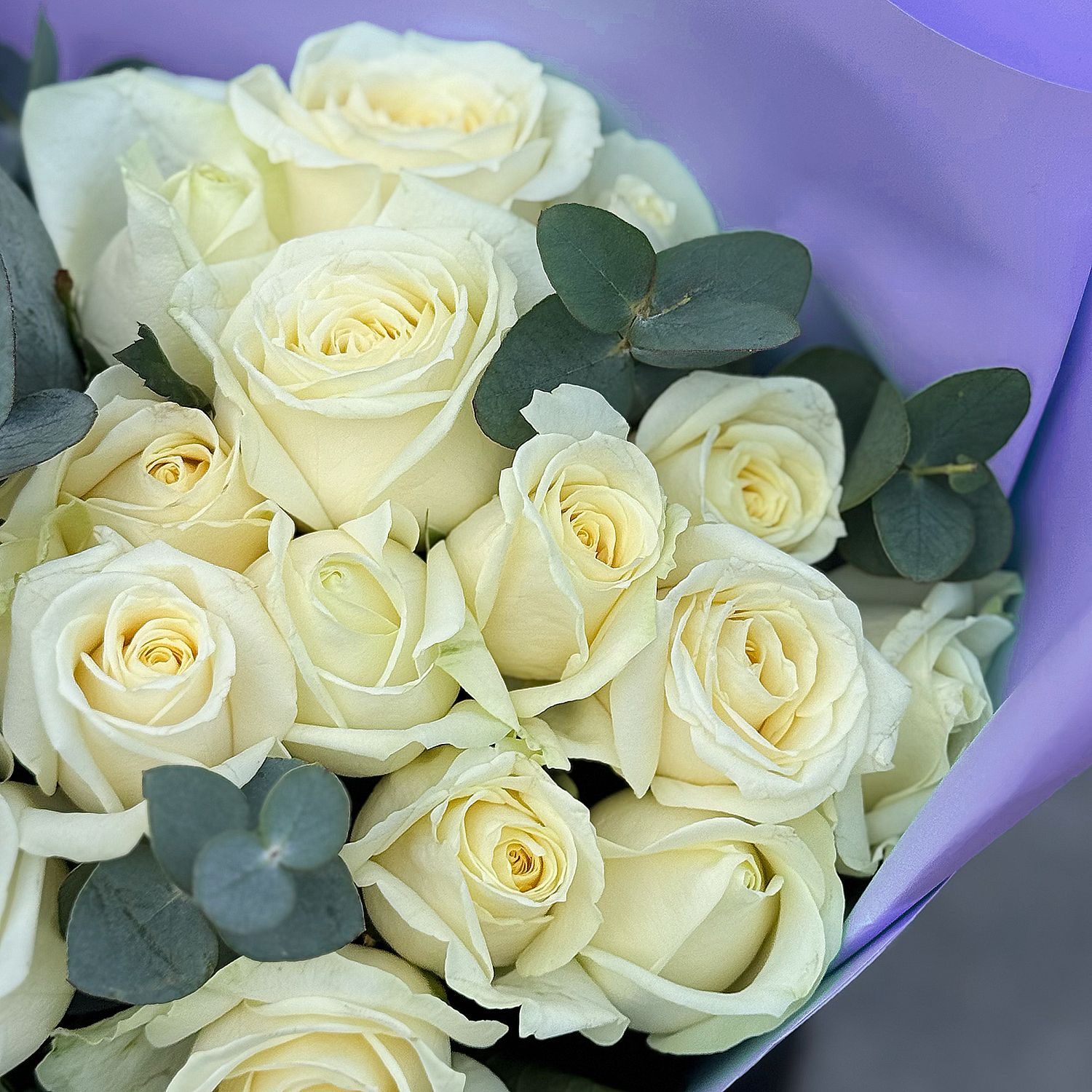 23 white roses 245 €