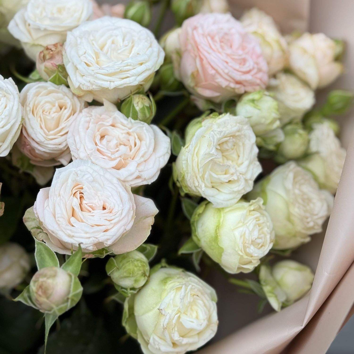 Bouquet of tender spray roses 107 $