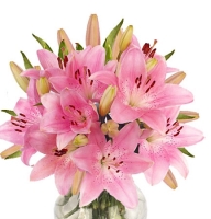 Bouquet of flowers Lightness Grodno
														