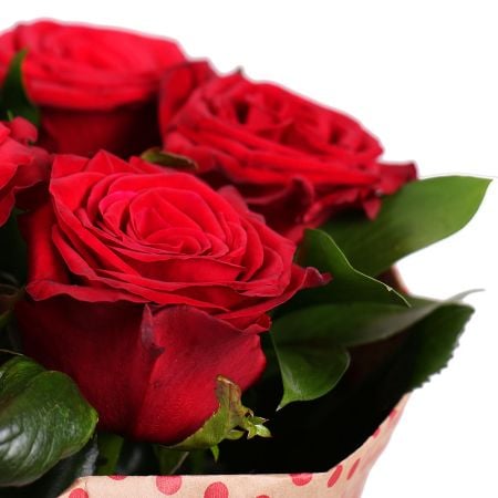 7 red roses Zaporozhie 7 red roses Zaporozhie