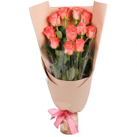 11 orange roses Belunno