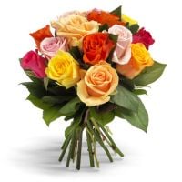 11 різнокольорових троянд Асколі-Пічено