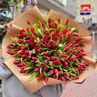 151 red tulips