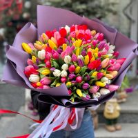 151 різнокольоровий тюльпан Мірабелла