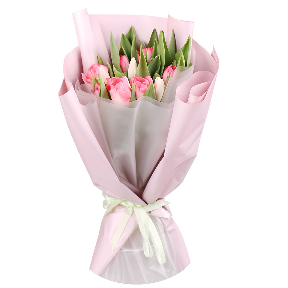 15 pink and white tulips 