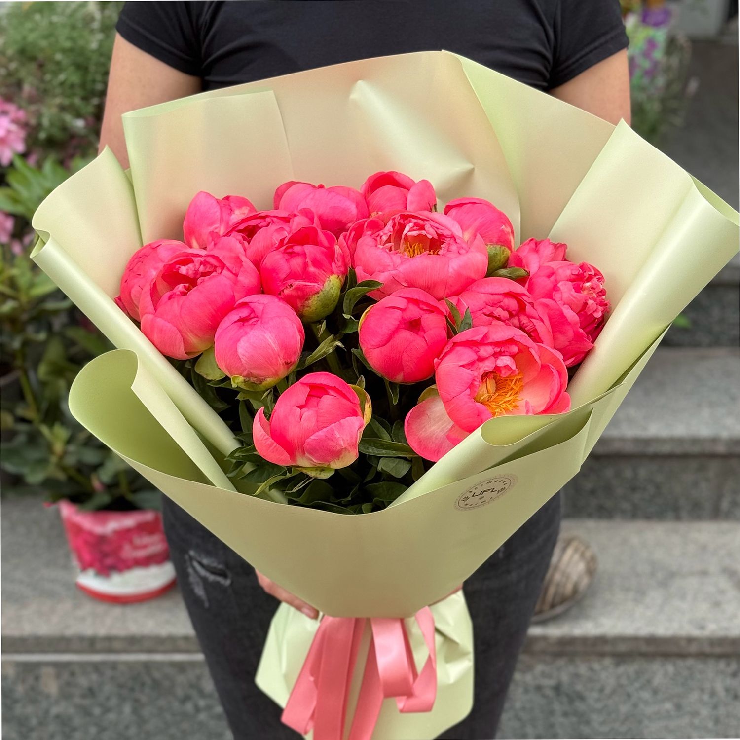 15 коралових півоній (імпорт) 98 $