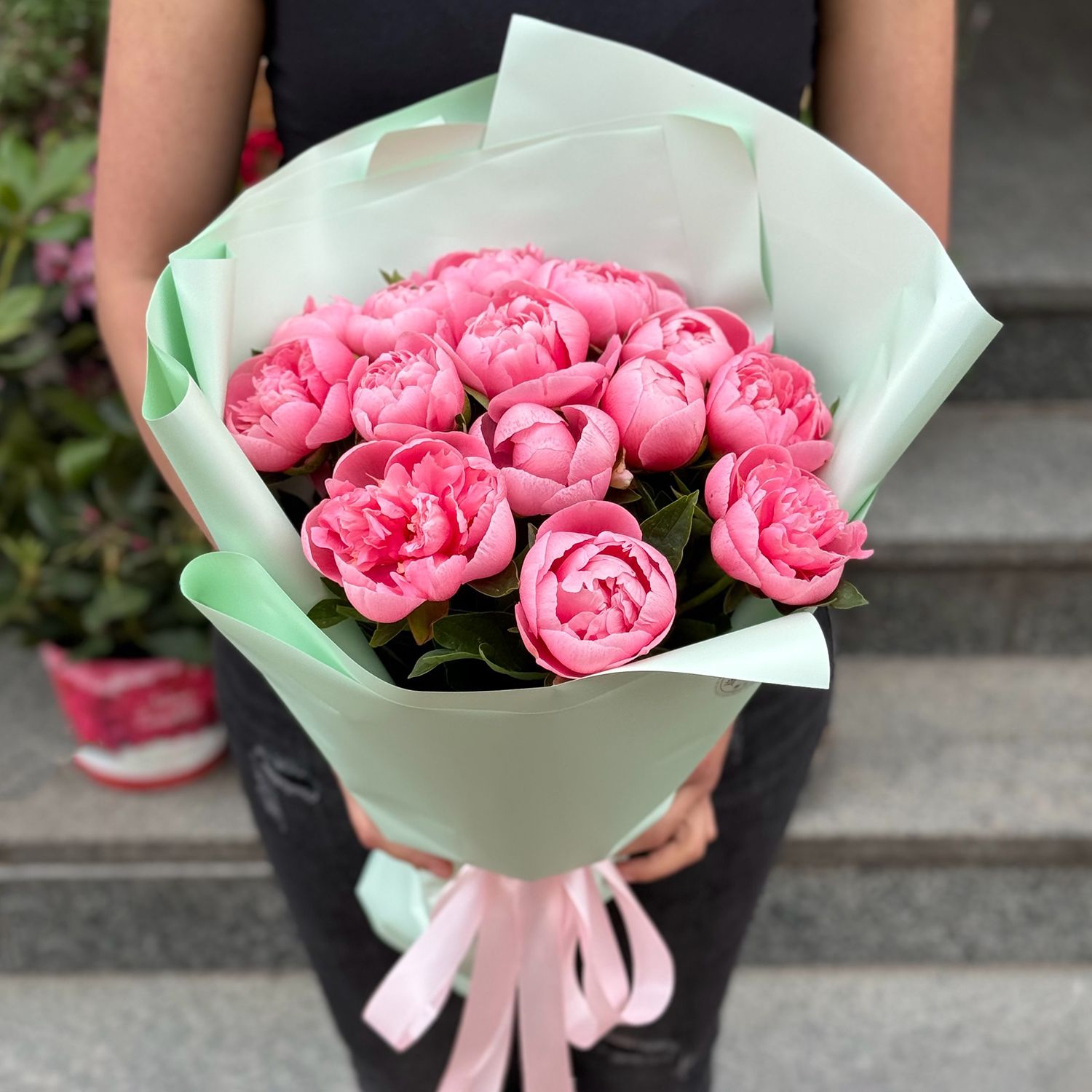 15 pink peonies (imported) Kallaste