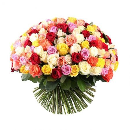 175 разноцветных роз Напервиль