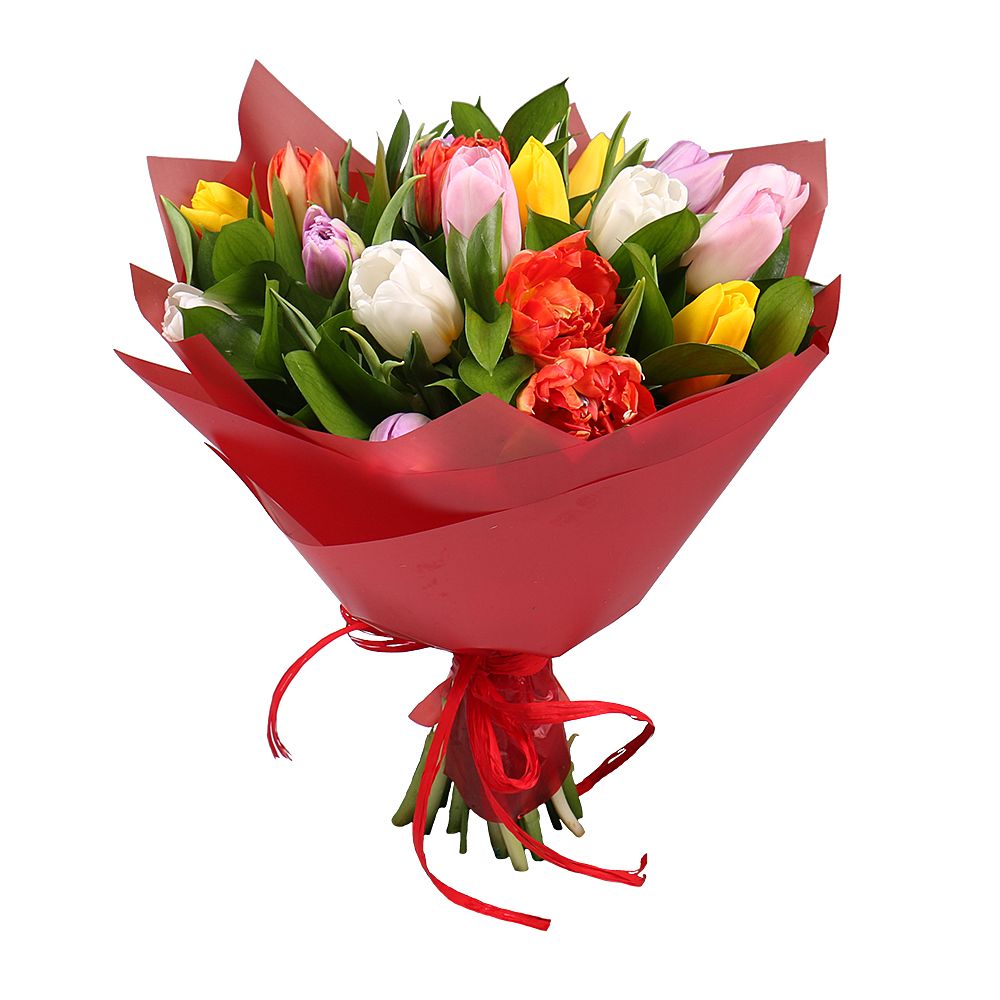 19 разноцветных тюльпанов Малинска
